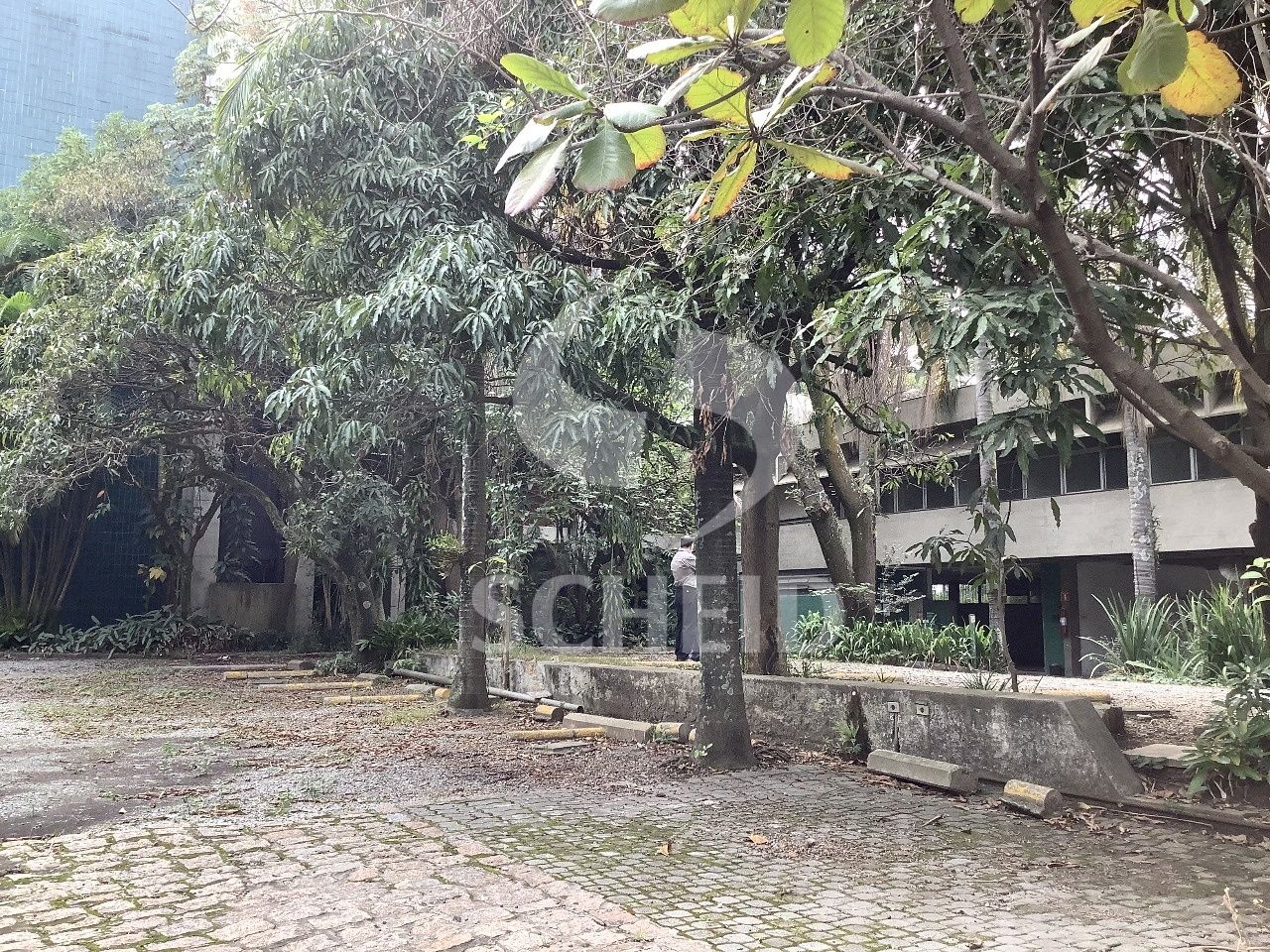 Foto 17