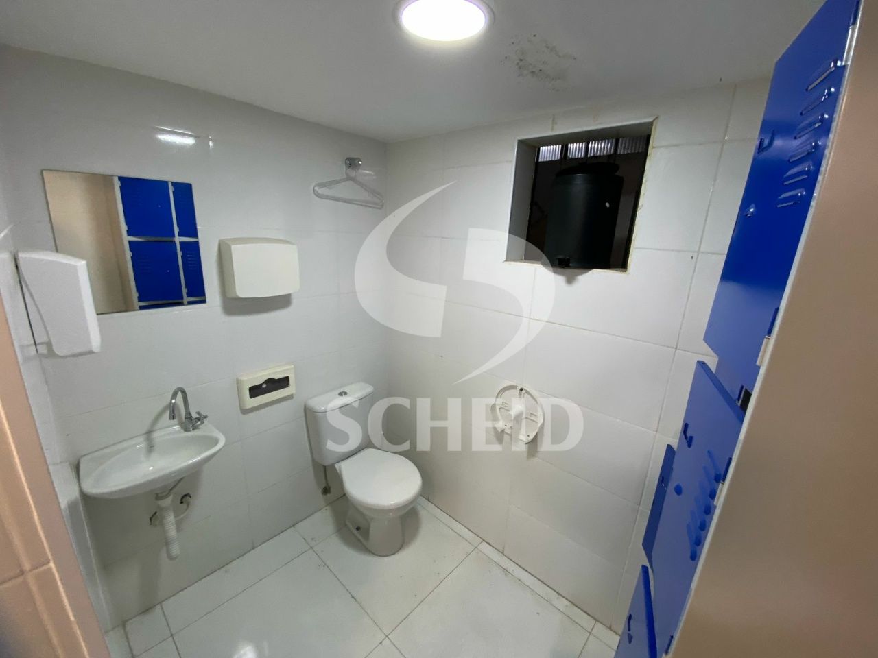 Foto 7