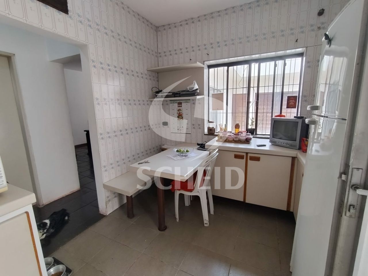 Foto 6
