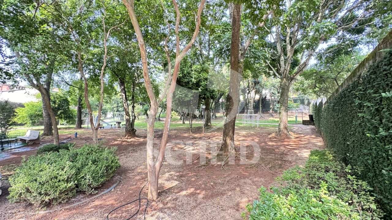 Foto 41