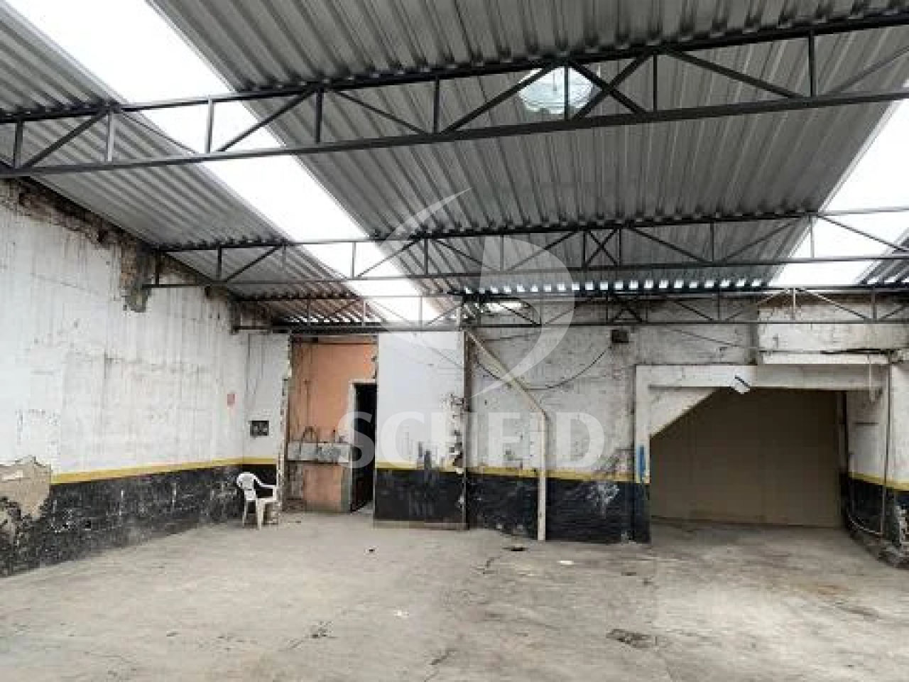 Foto 7