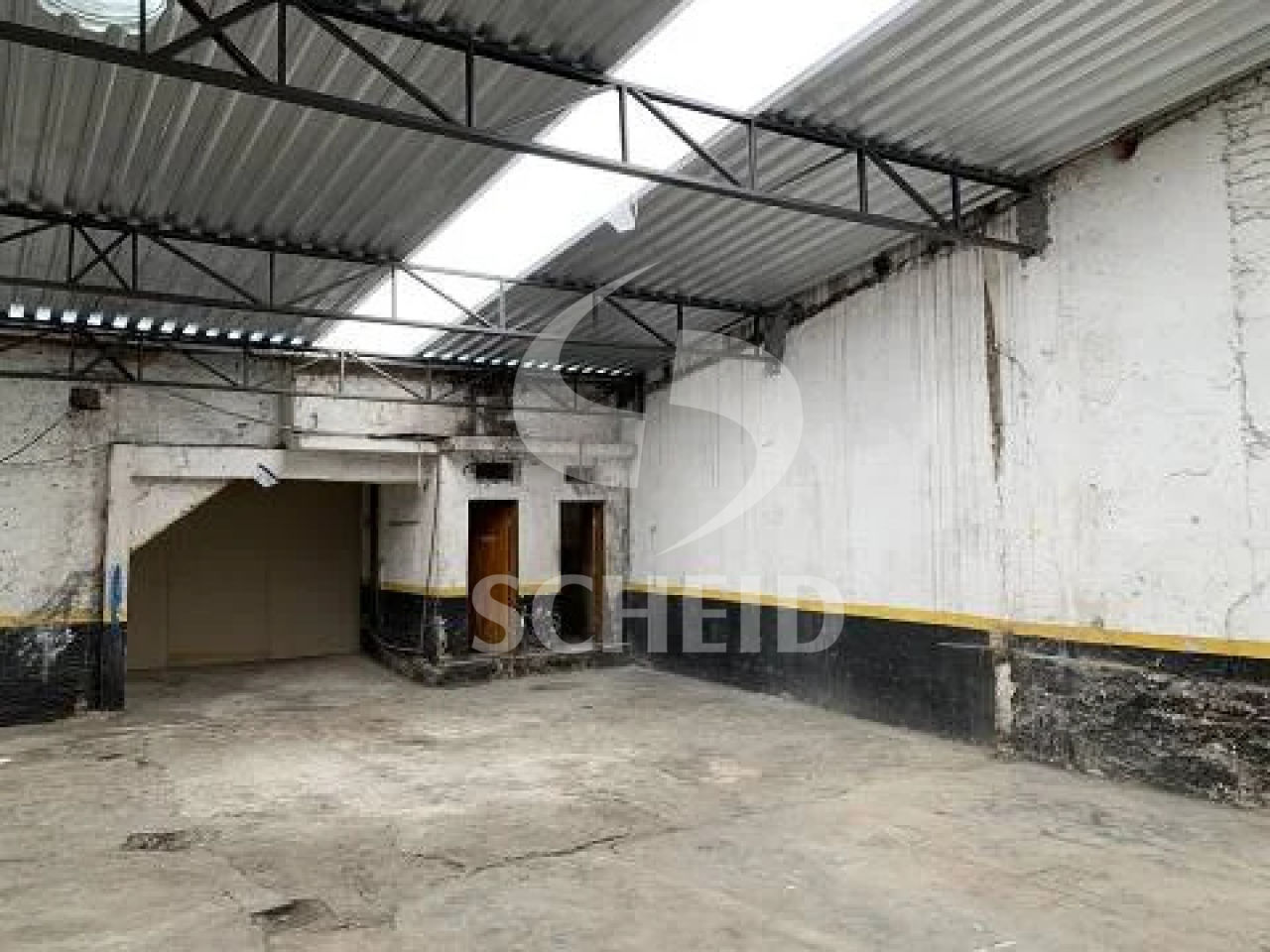 Foto 6