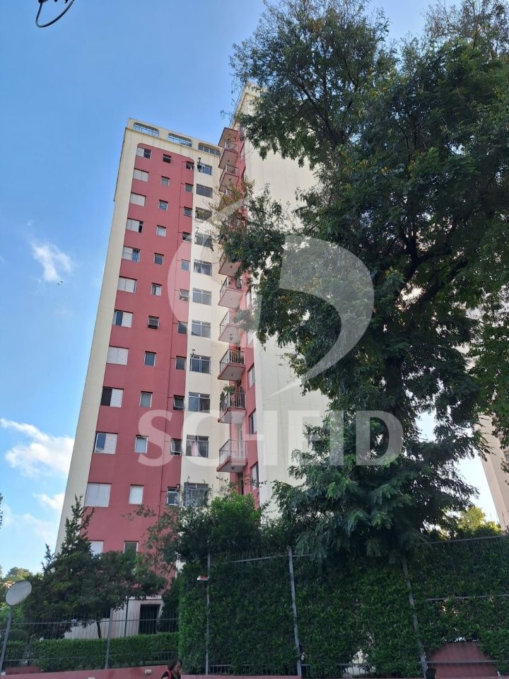 Foto 20