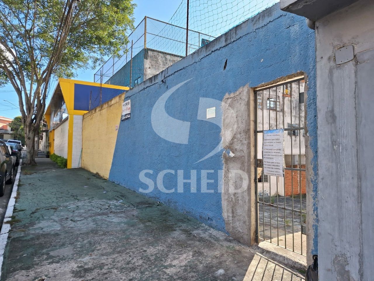 Foto 6