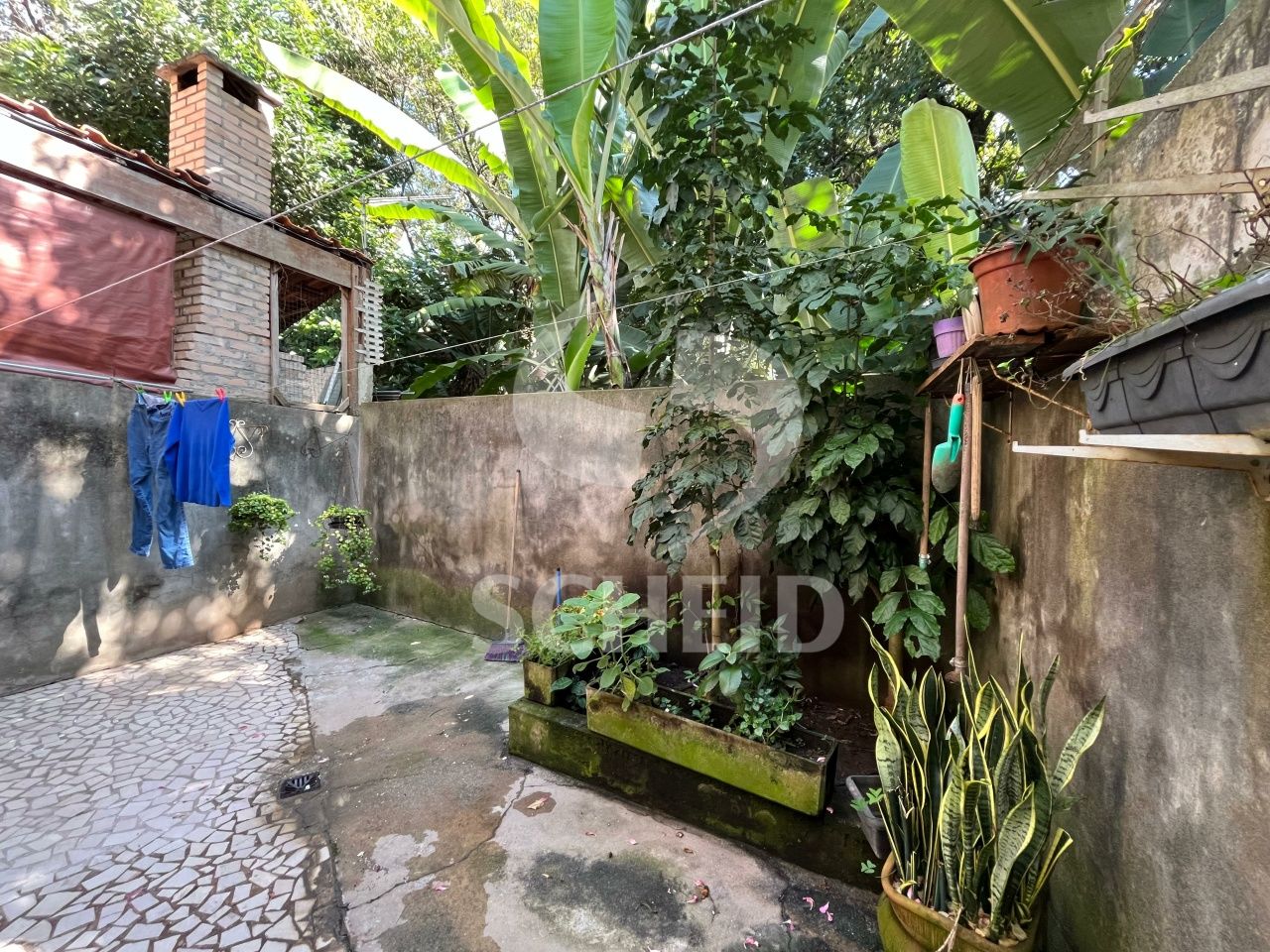 Foto 44