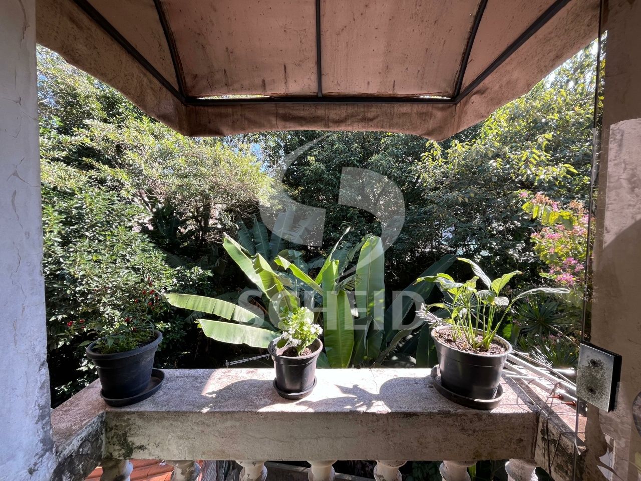 Foto 21