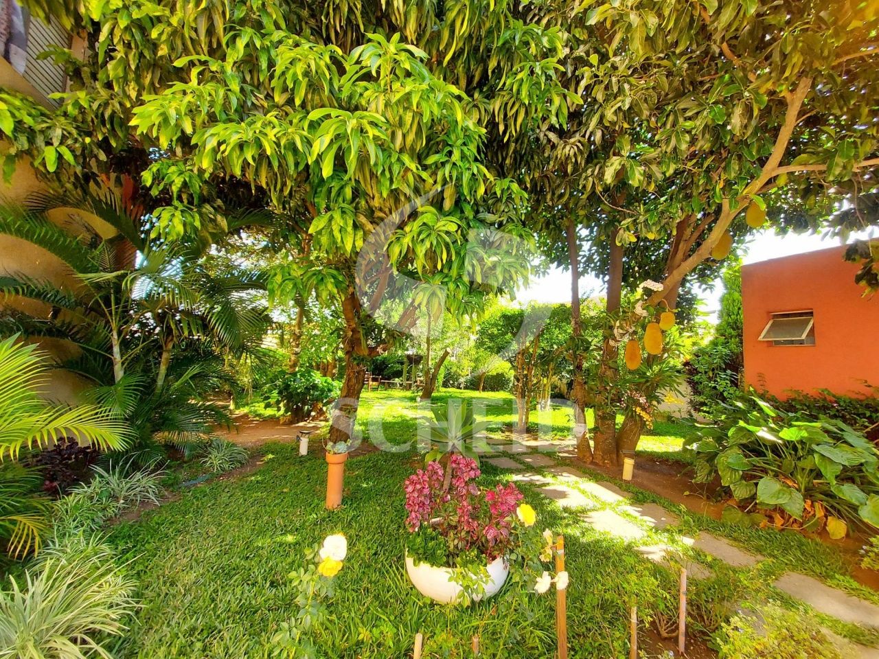 Foto 13