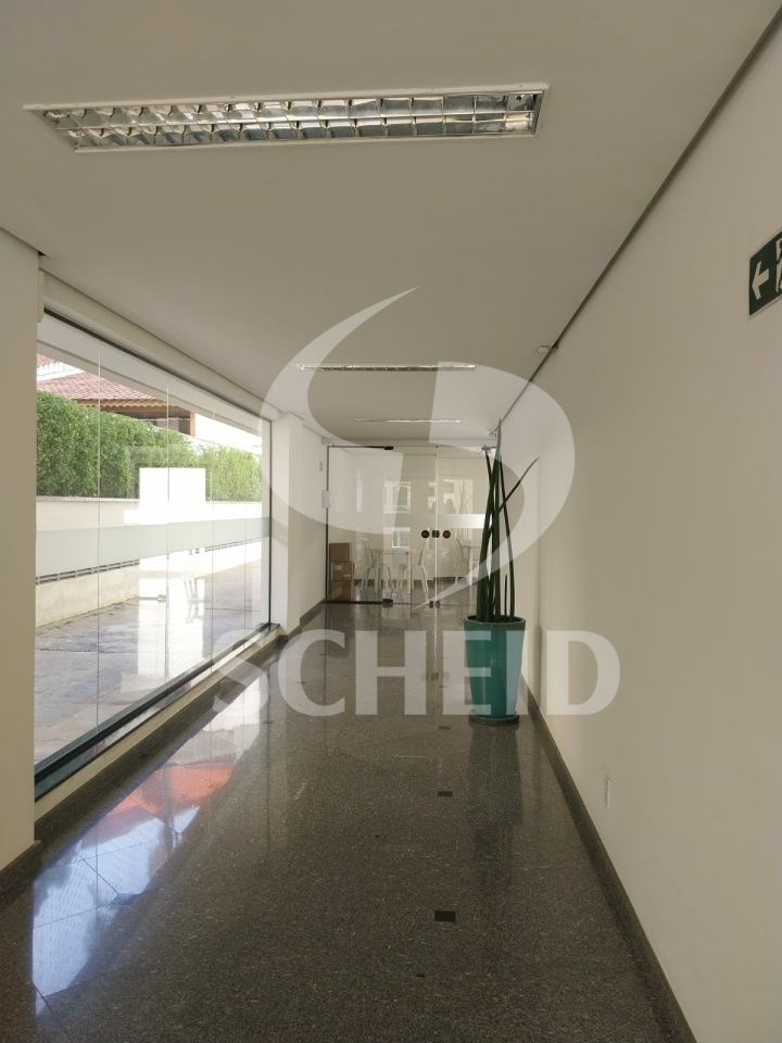 Foto 19