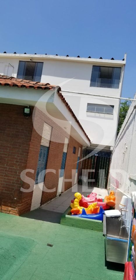 Foto 41