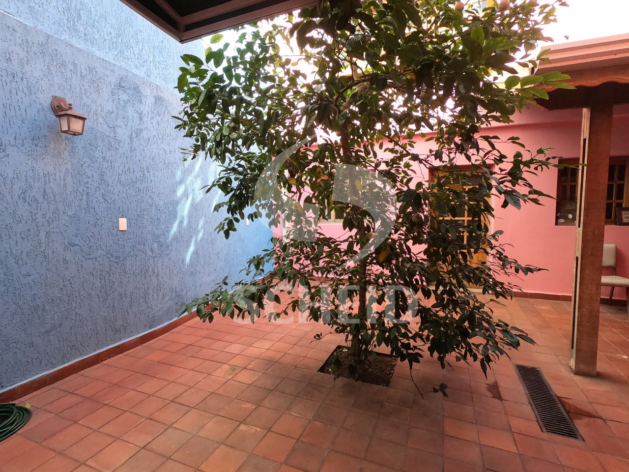 Foto 19