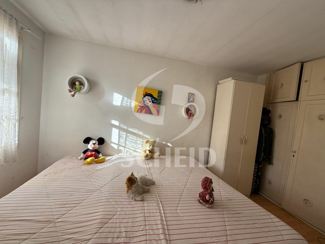 Foto 21