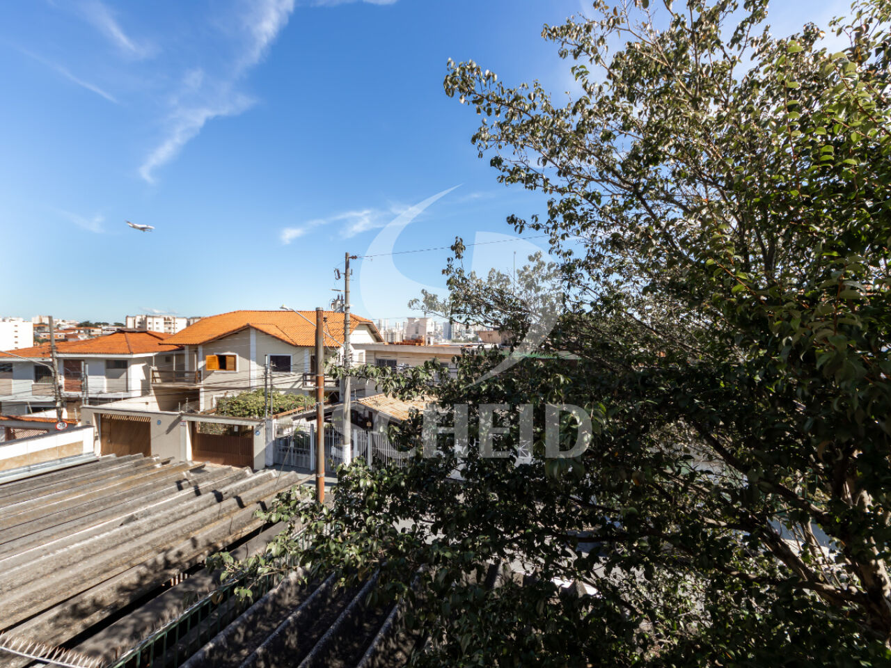 Foto 40