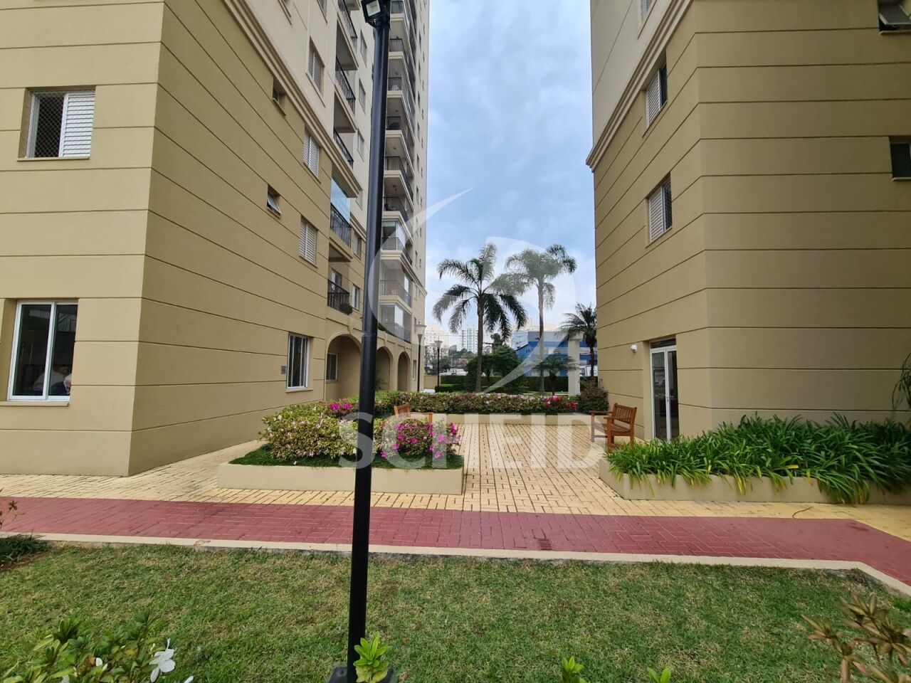 Foto 42