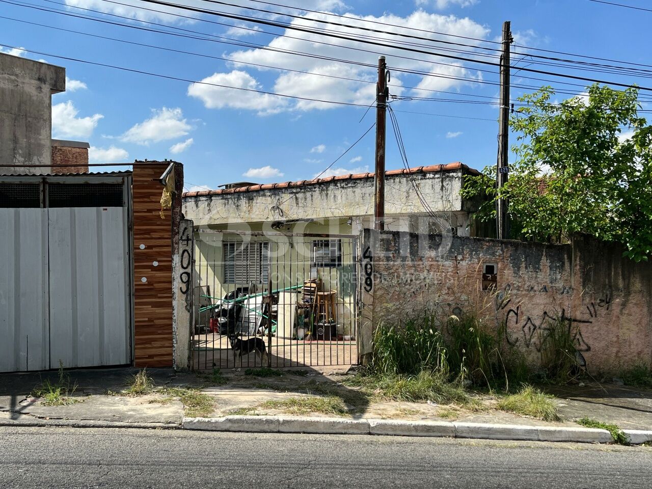 Foto 10