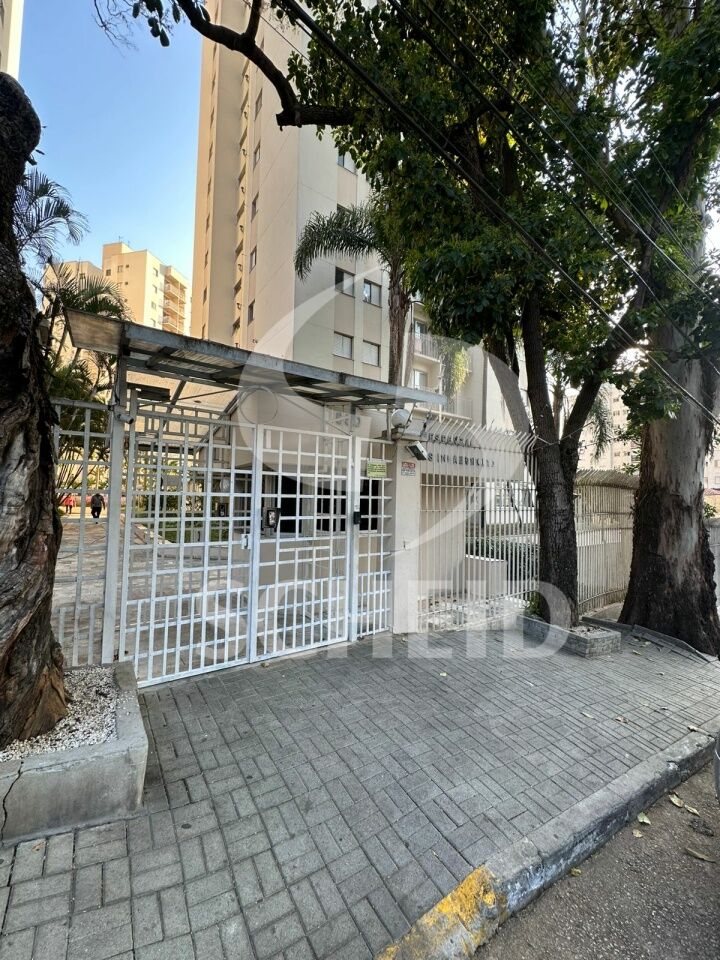 Foto 31