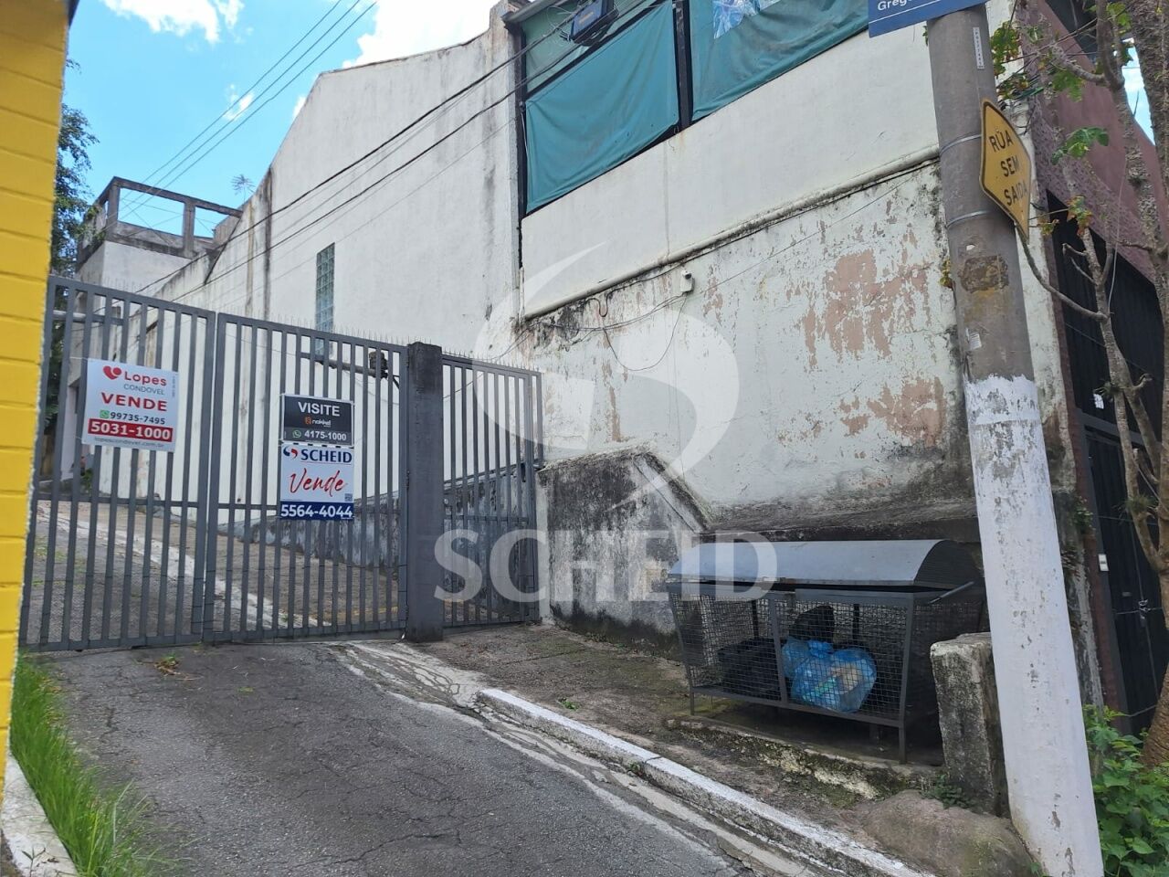 Foto 41
