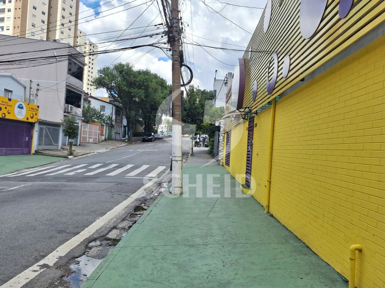 Foto 42