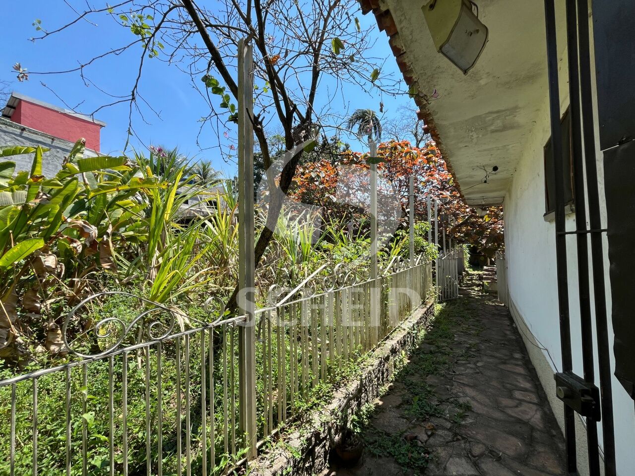 Foto 16
