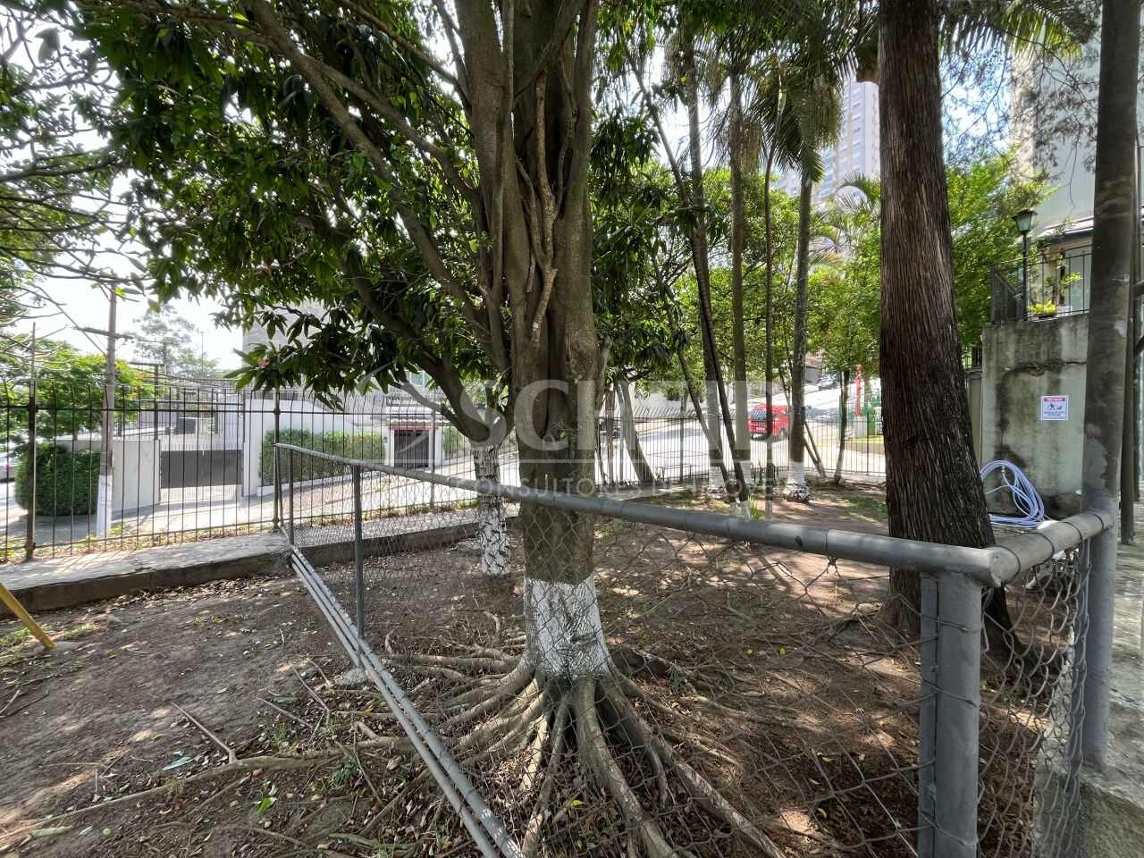 Foto 43