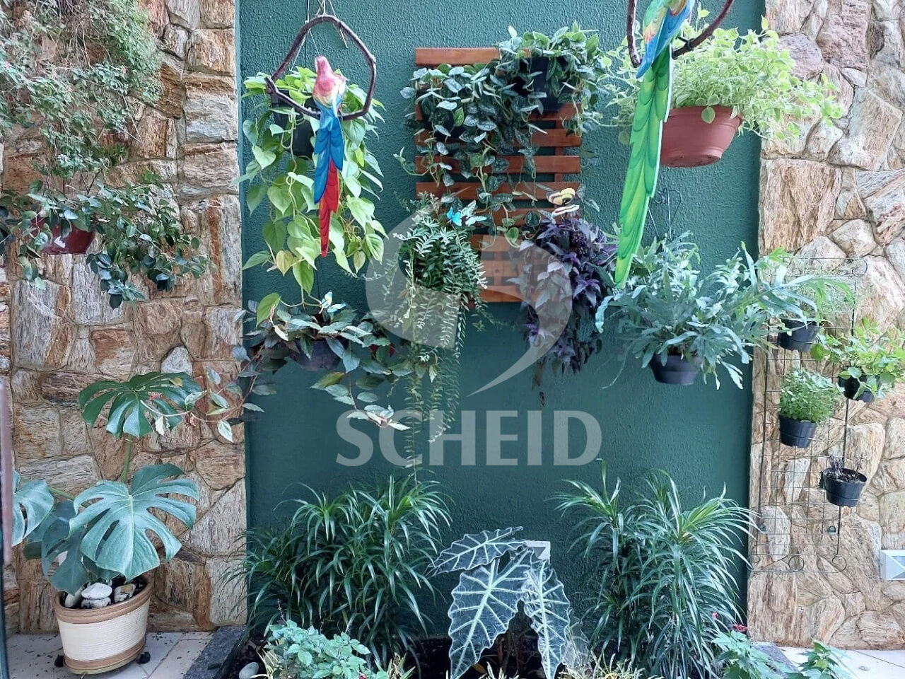 Foto 13