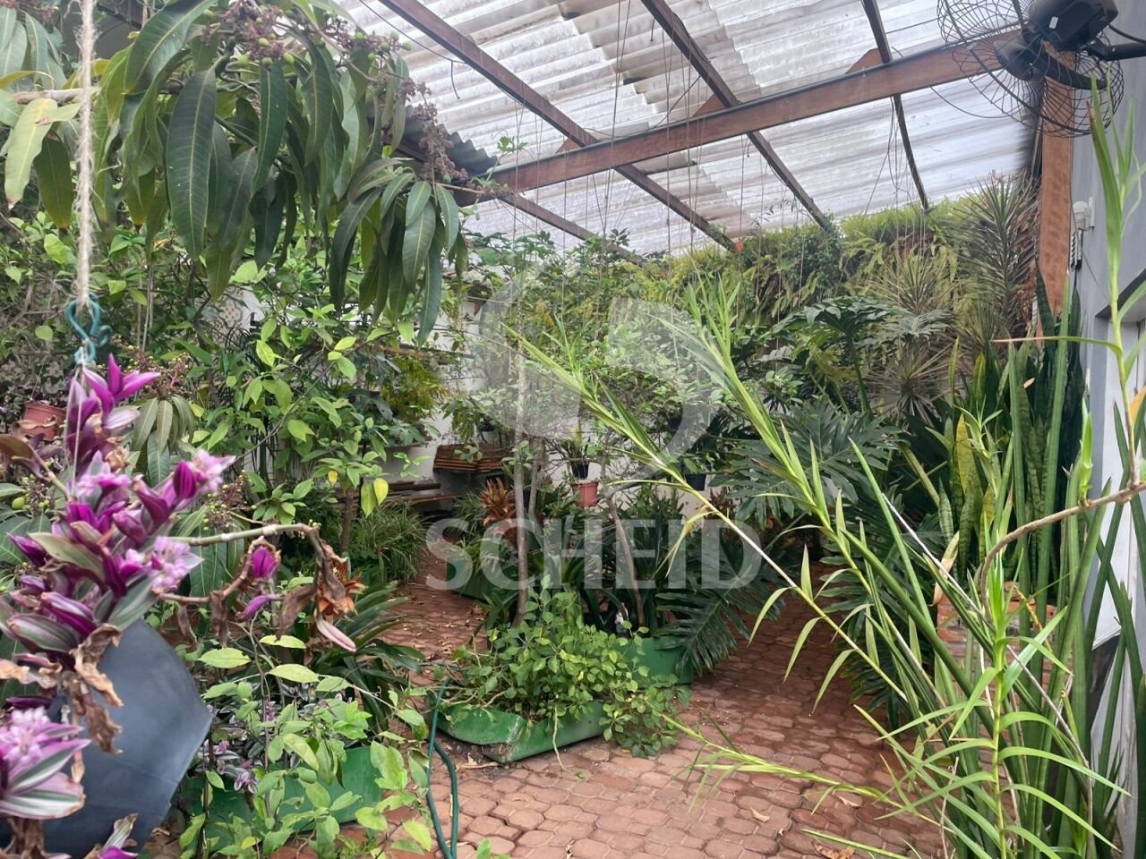 Foto 14