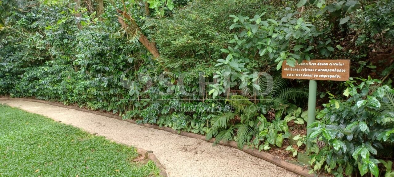 Foto 34