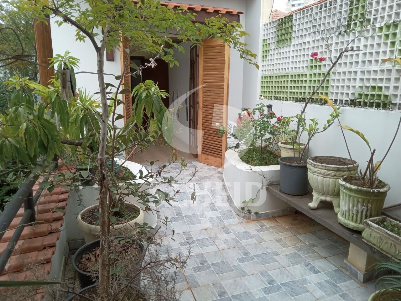 Foto 20