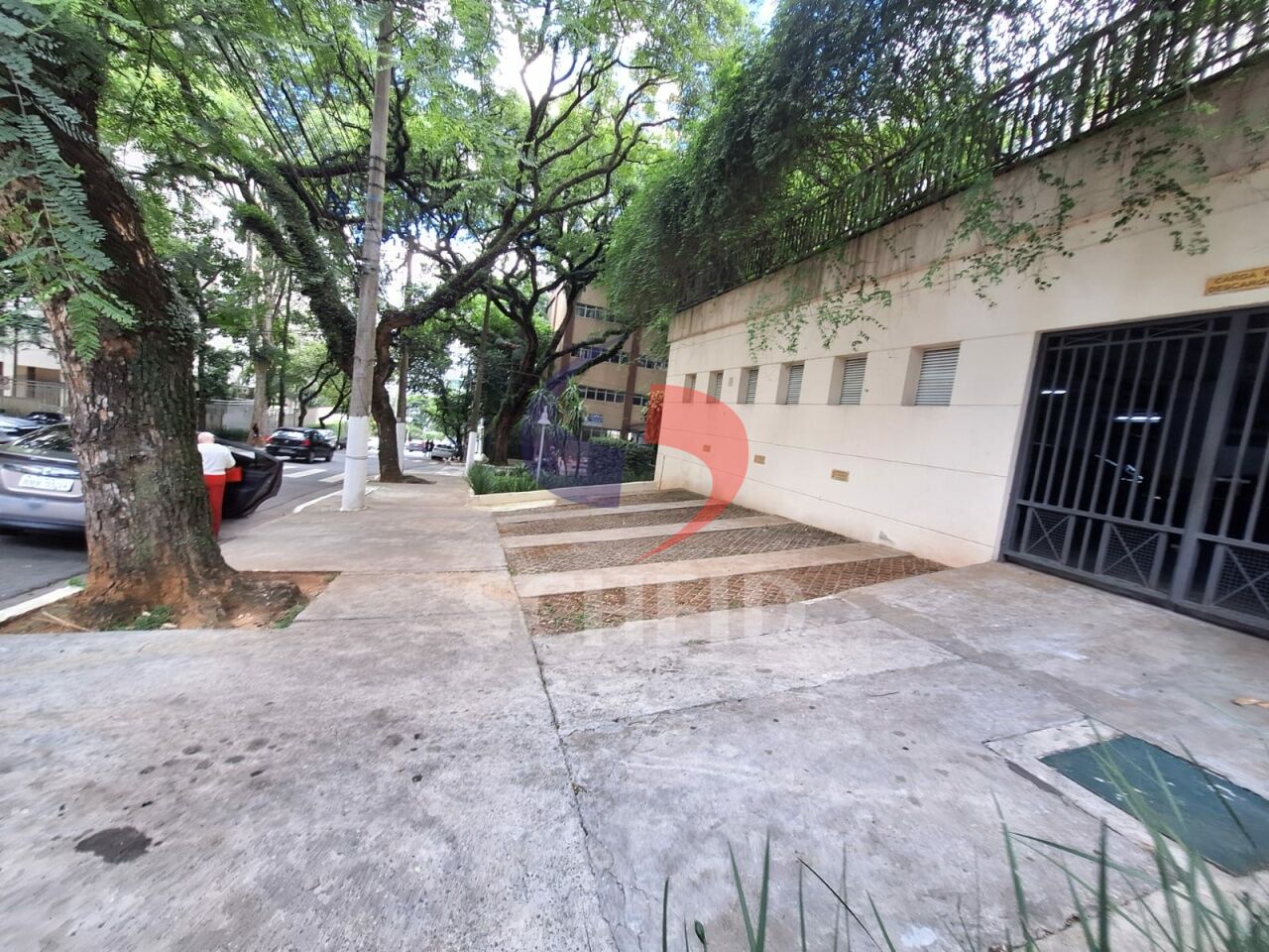 Foto 47