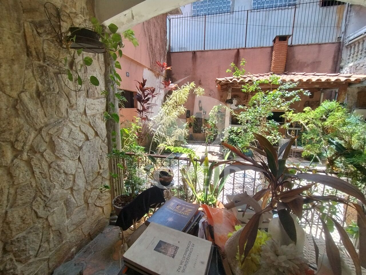 Foto 15