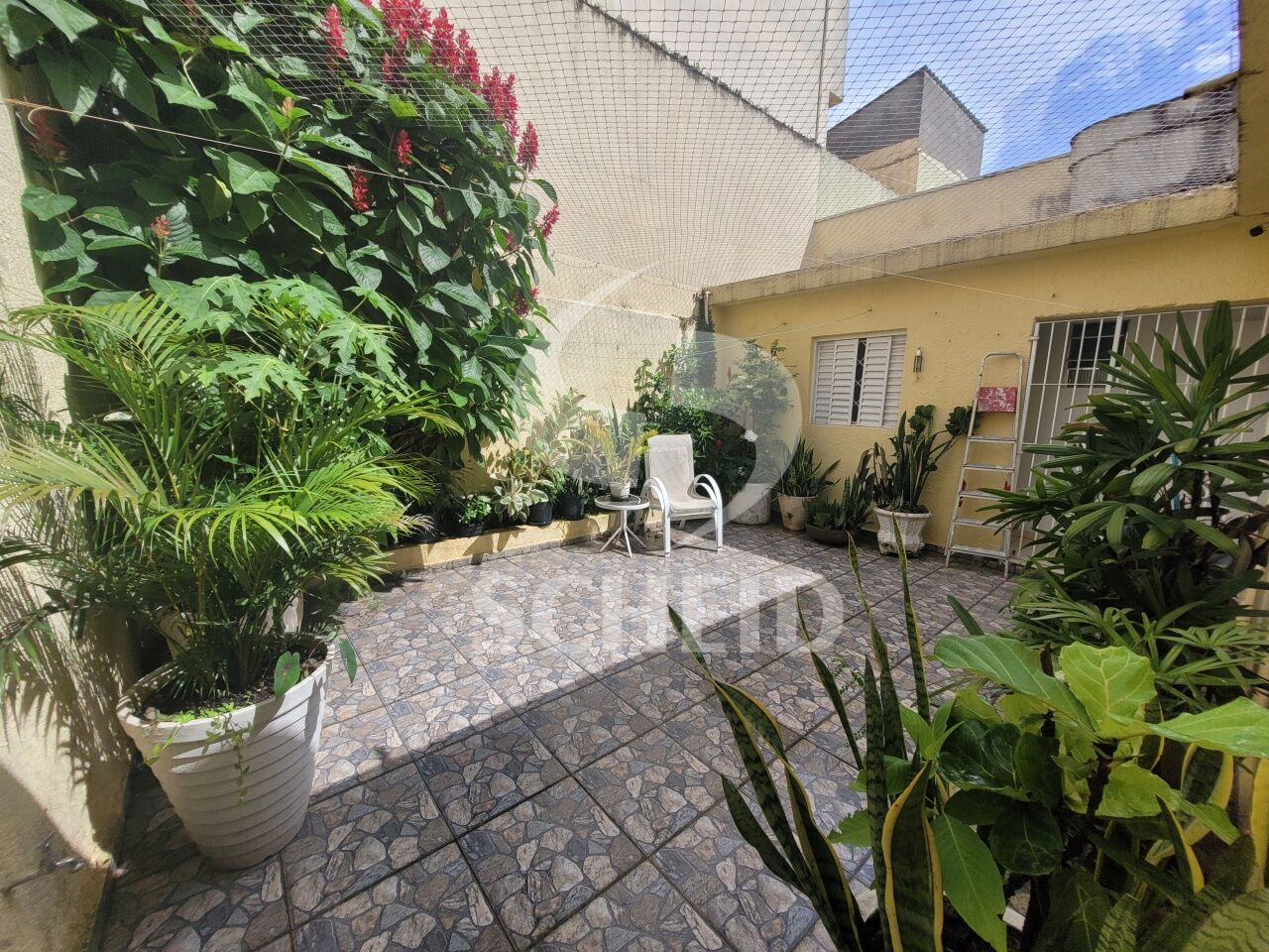 Foto 13