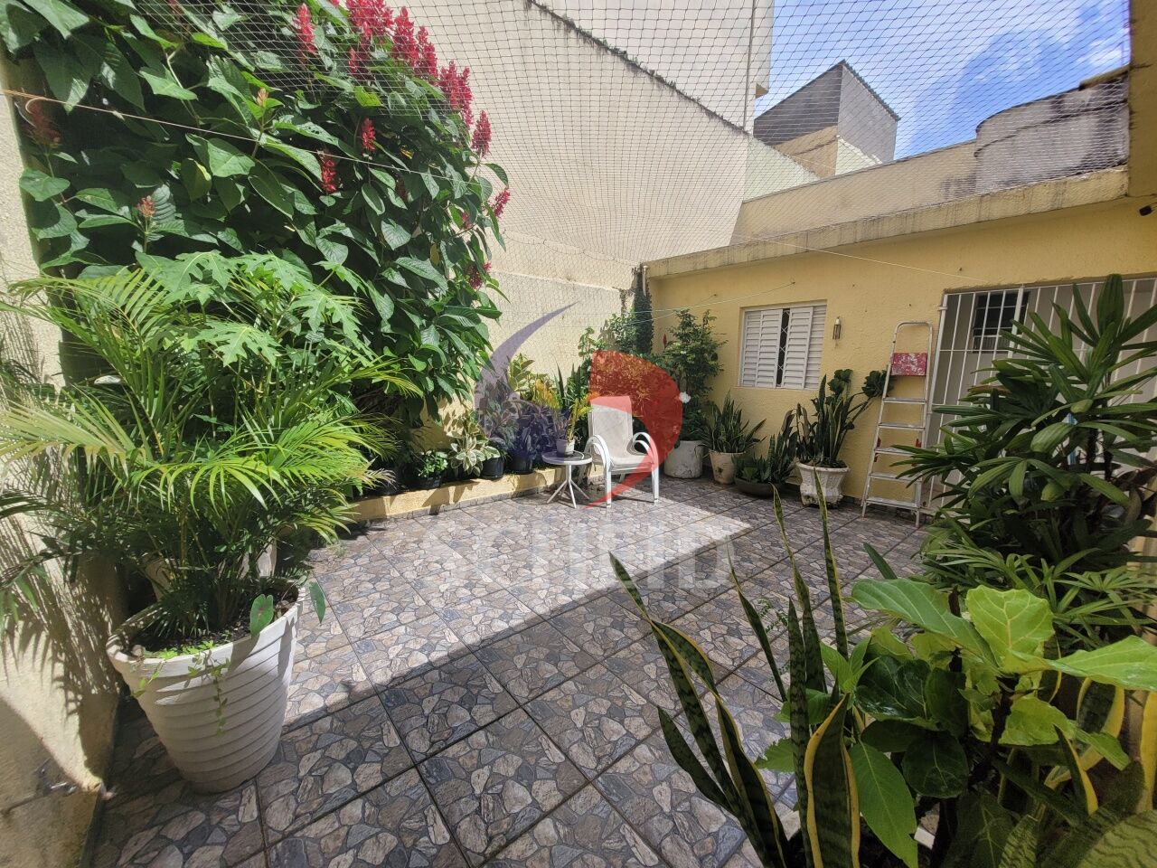 Foto 14