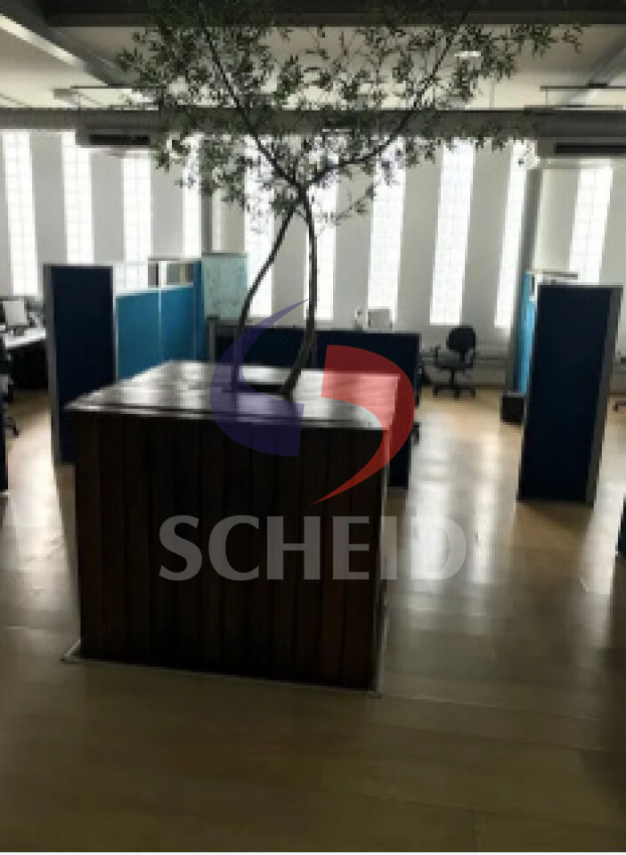 Foto 12
