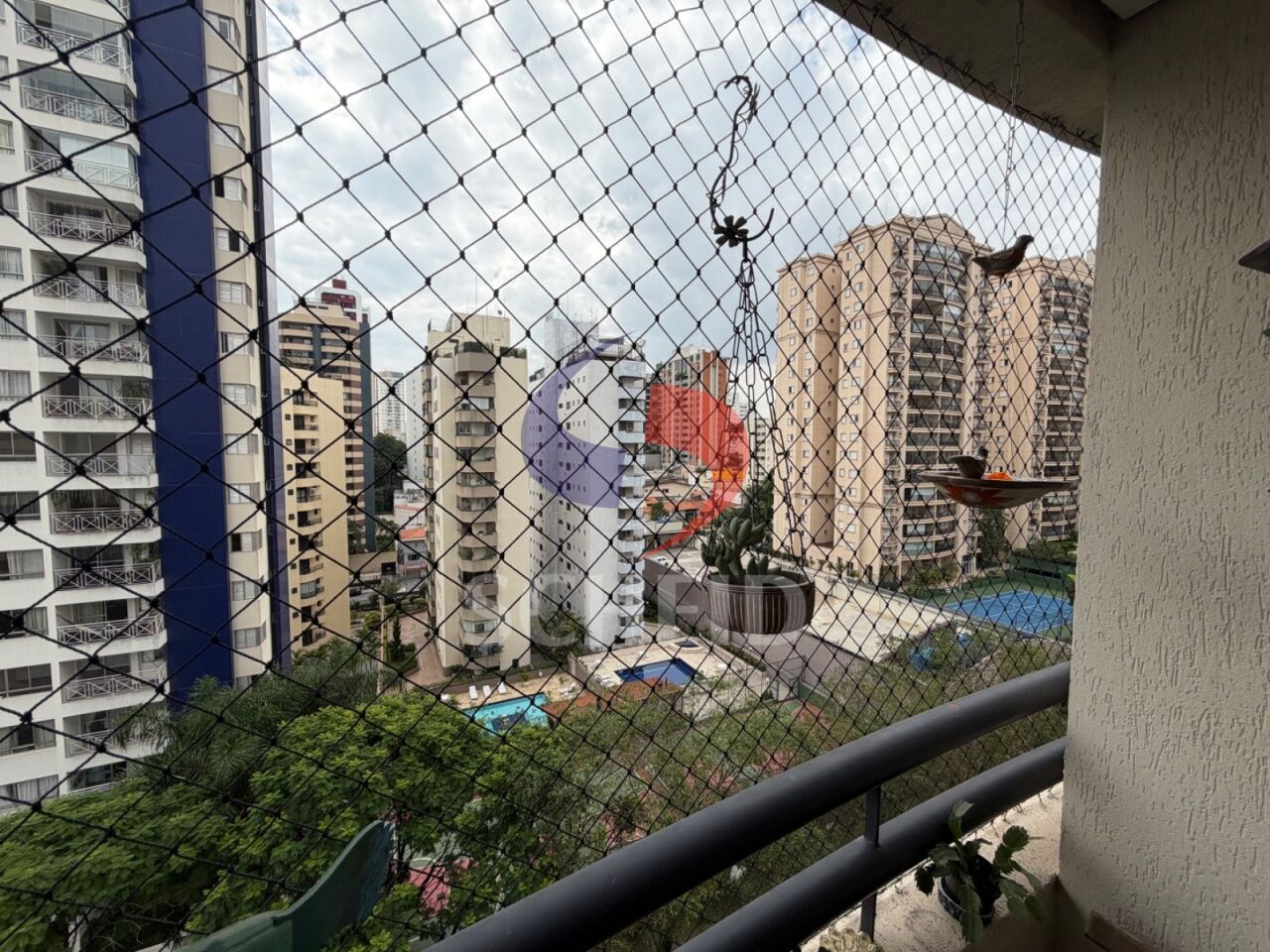 Foto 19