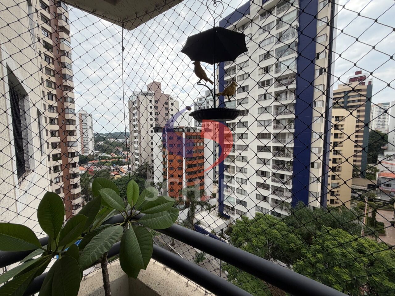Foto 20