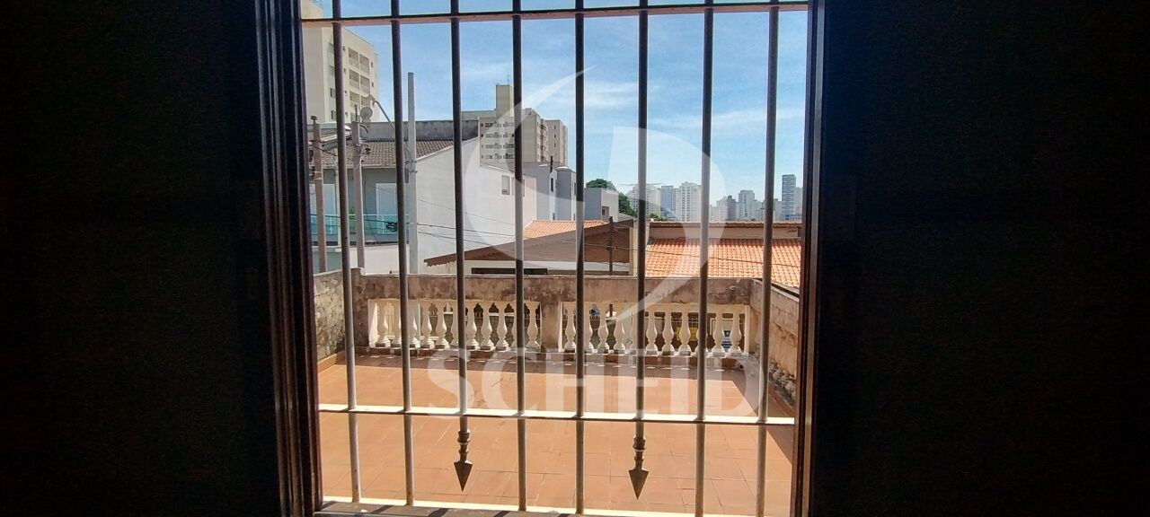 Foto 41