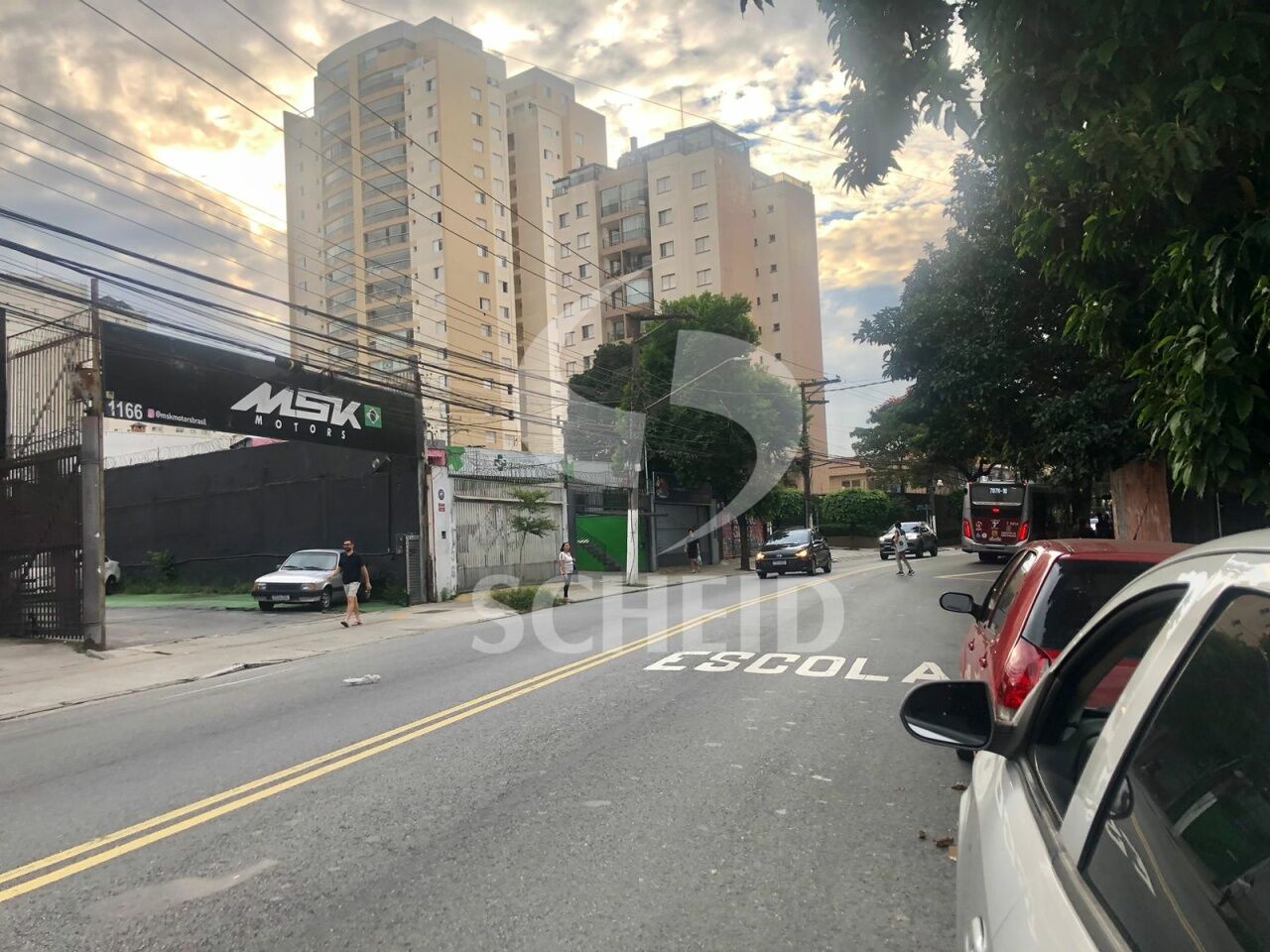 Foto 7