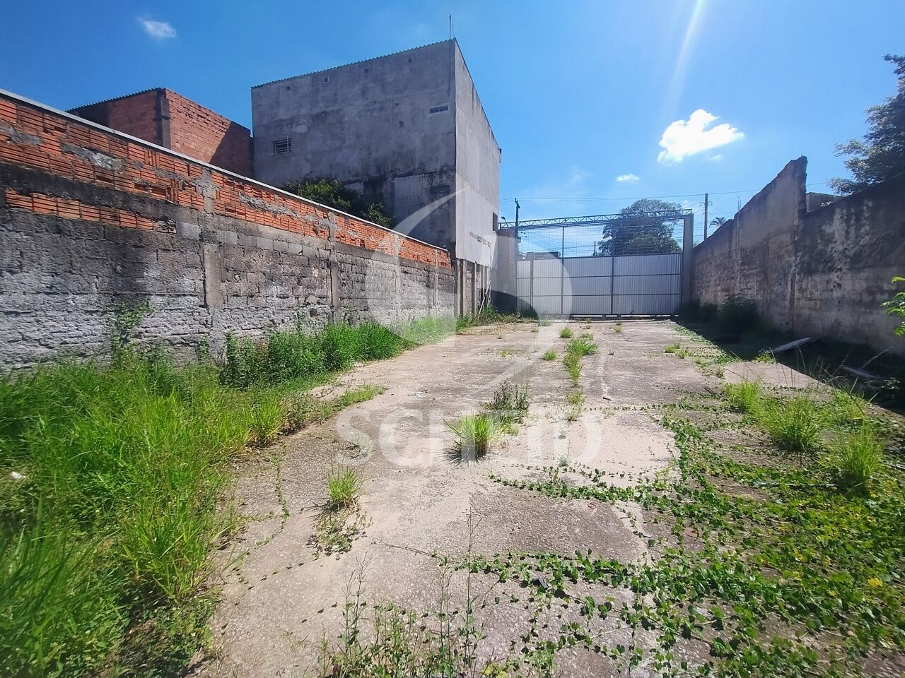 Foto 7