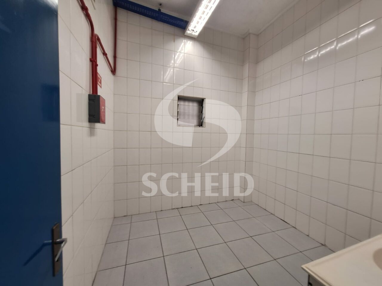 Foto 6