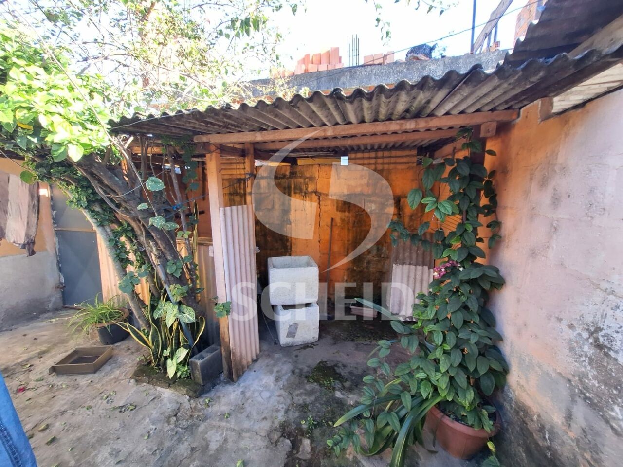 Foto 16