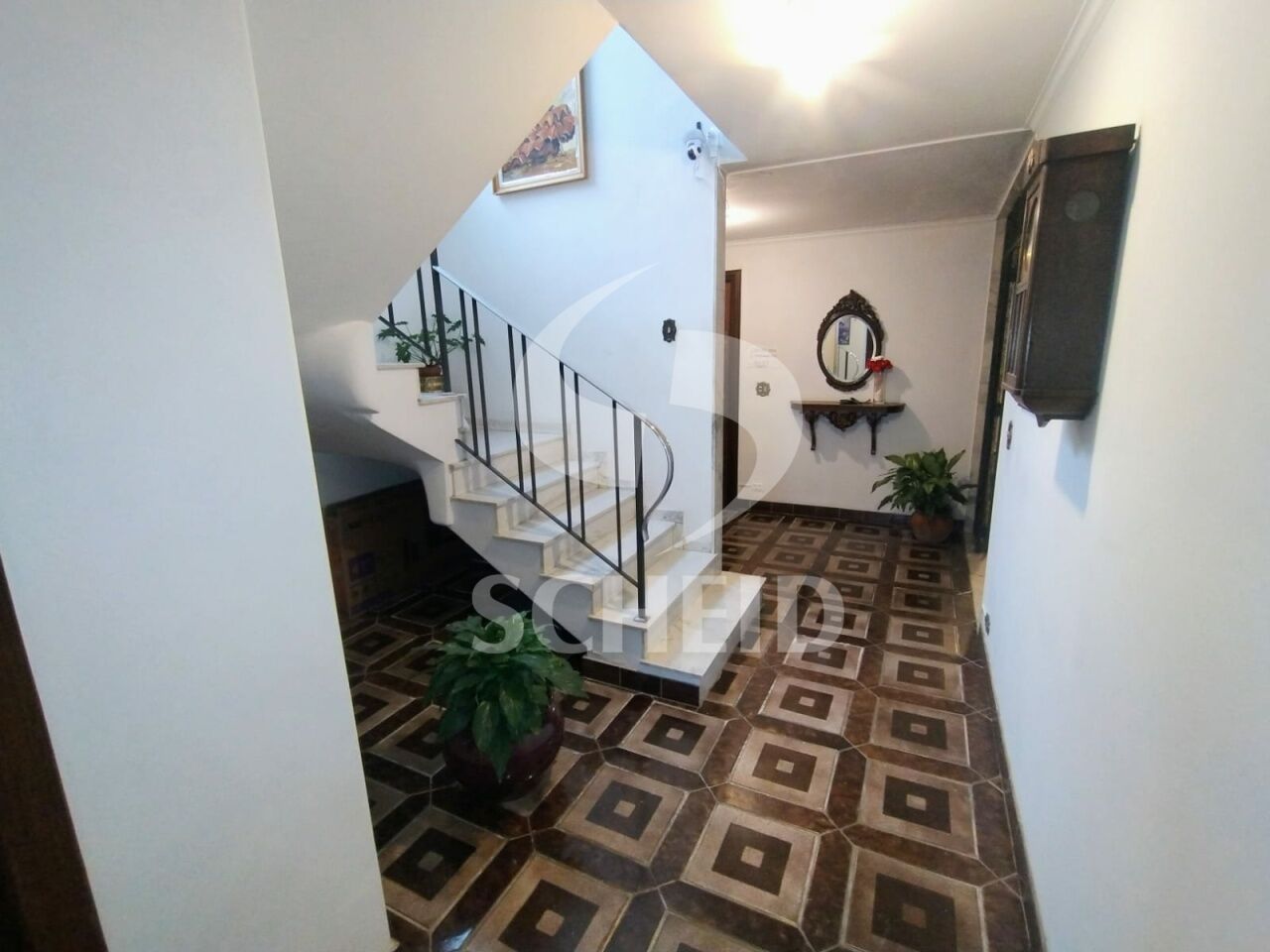 Foto 20