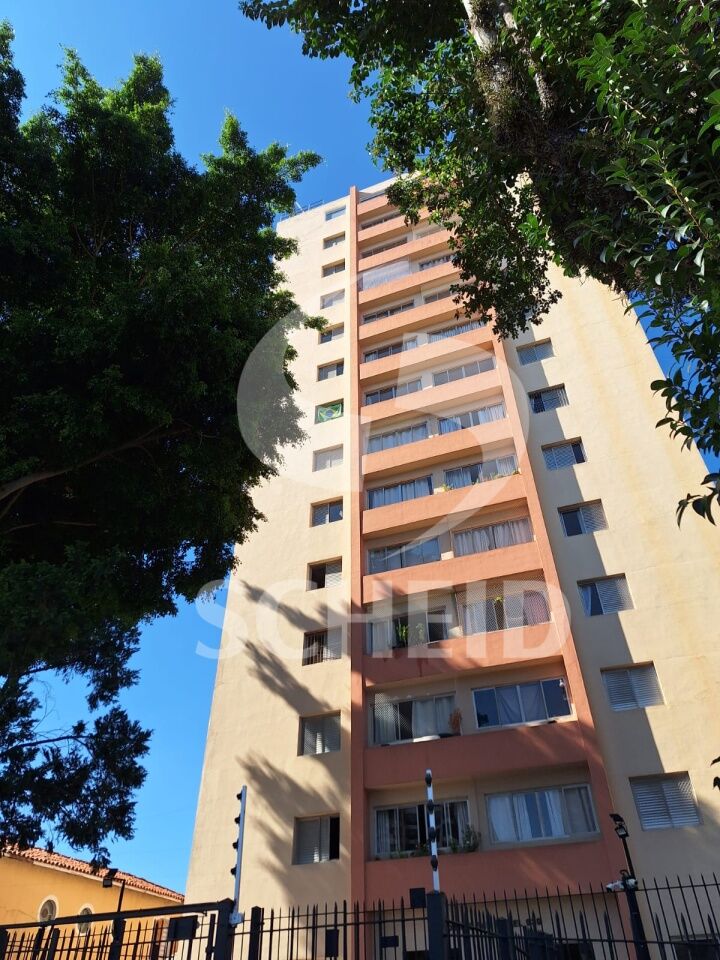 Foto 29