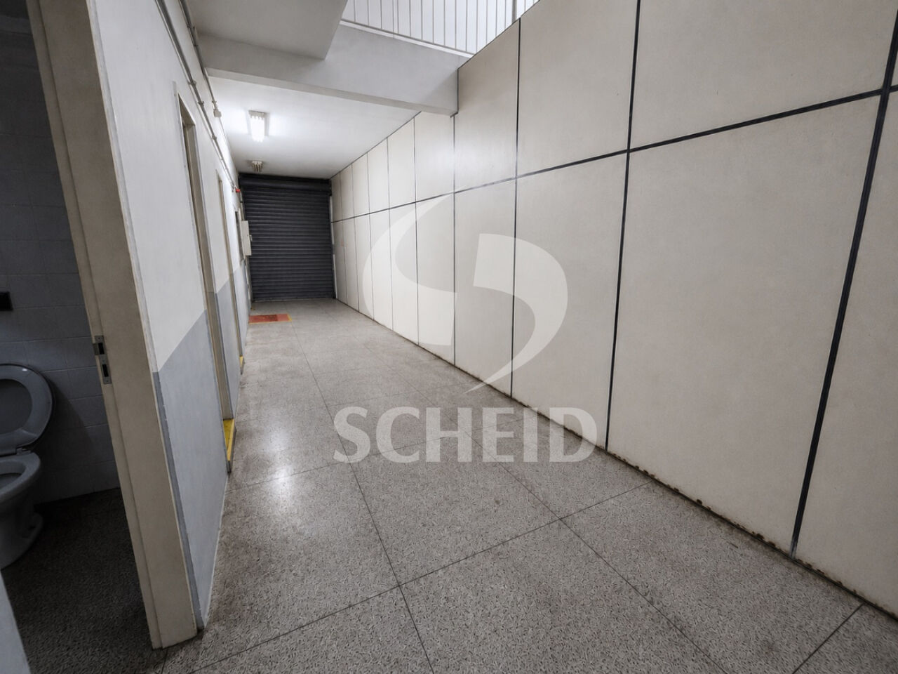 Foto 12