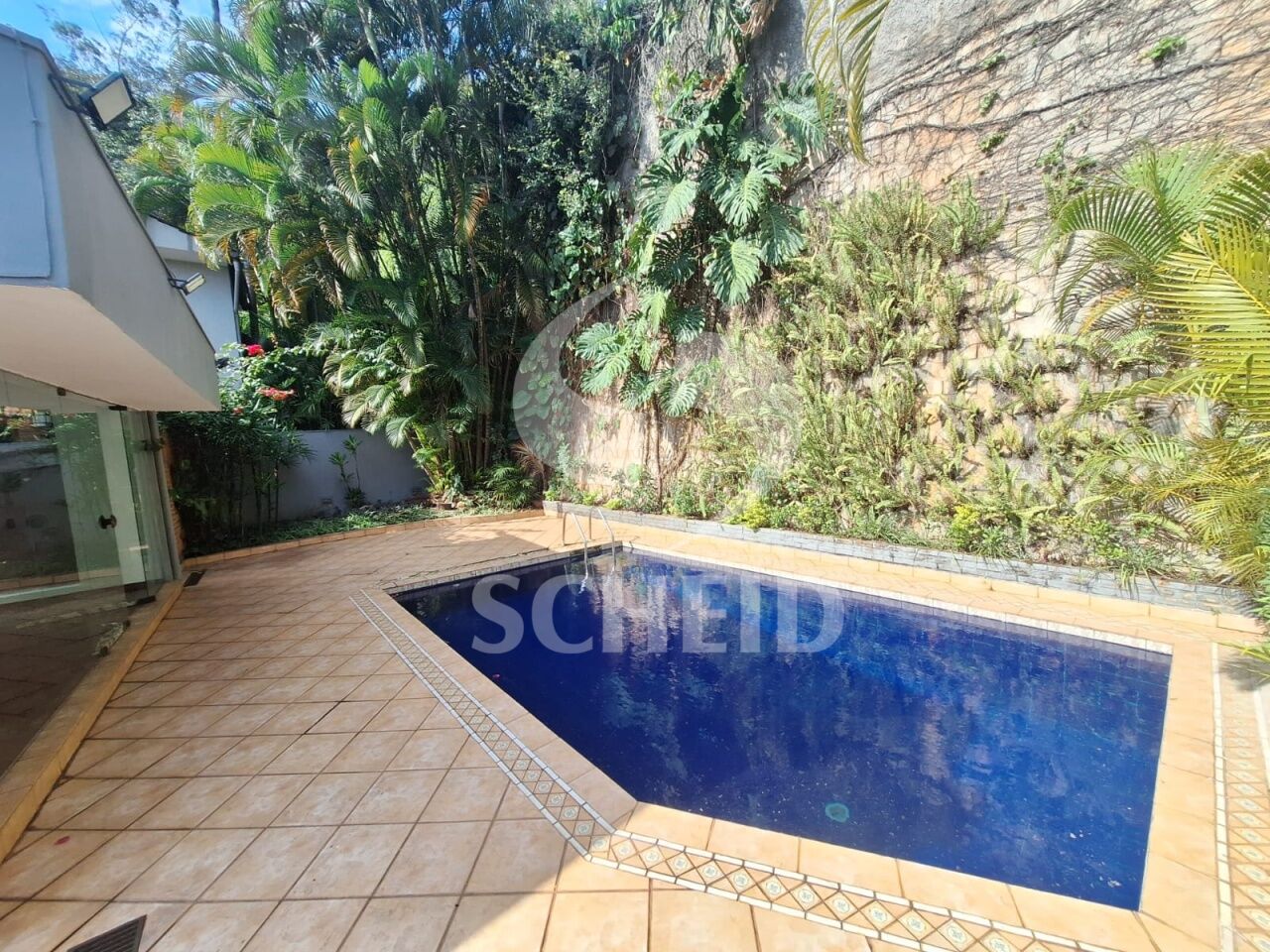 Foto 8
