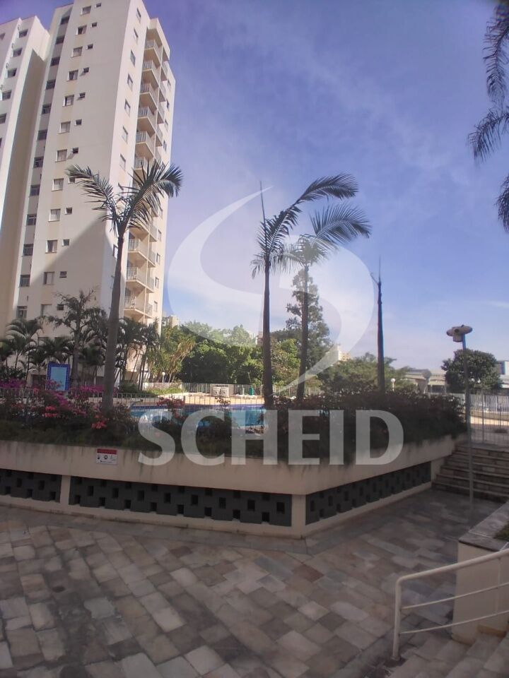 Foto 42
