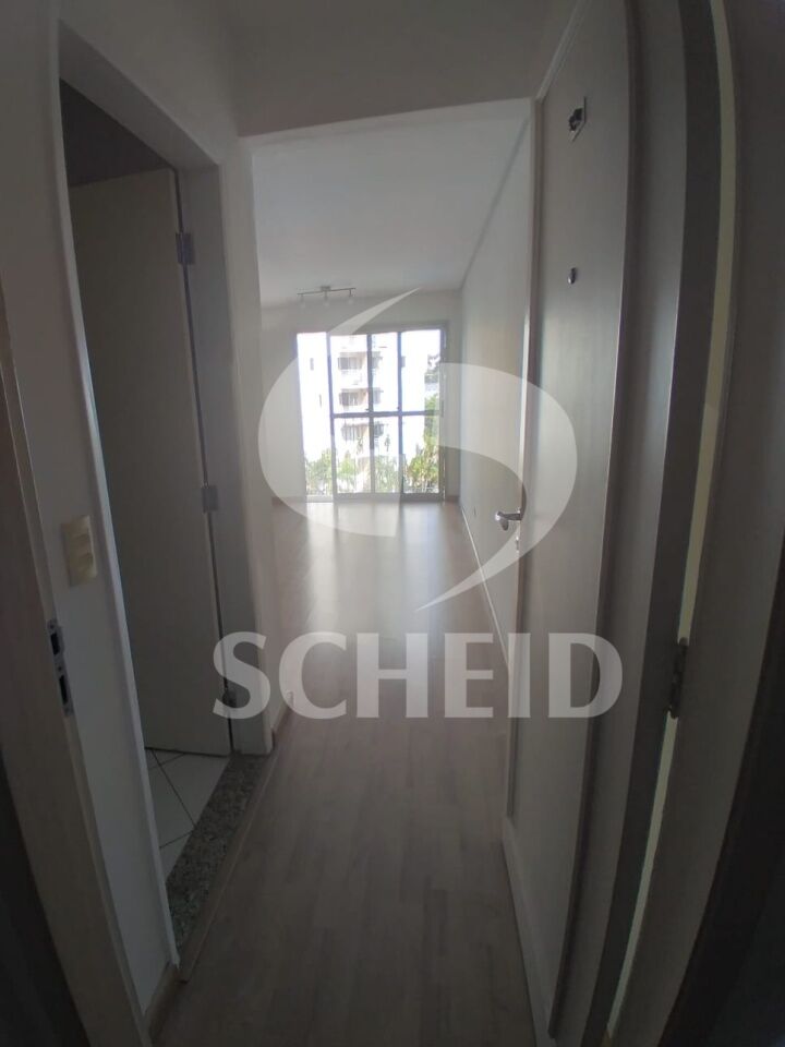 Foto 19