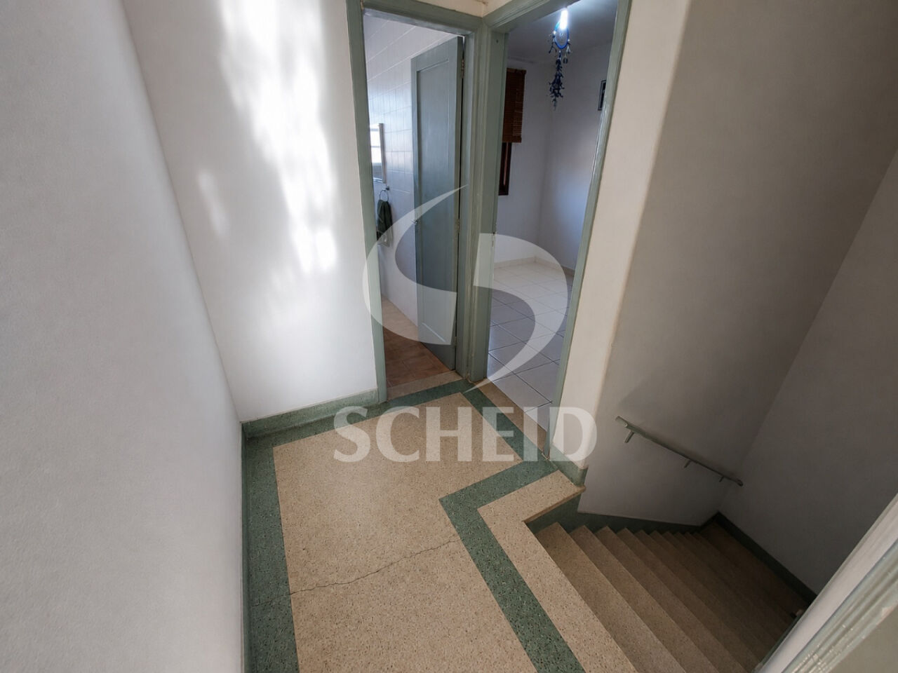 Foto 7