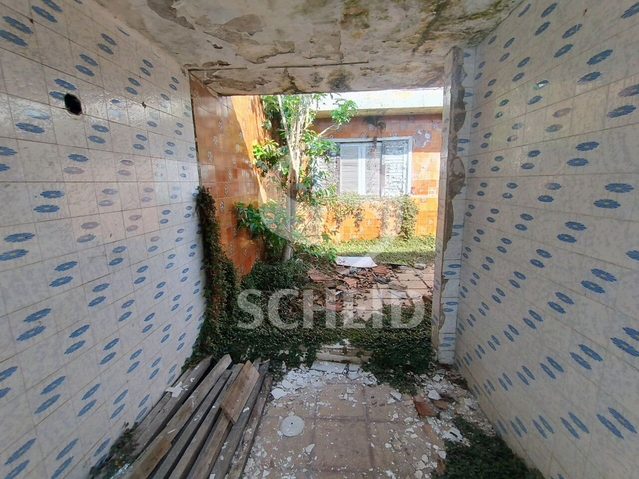 Foto 11
