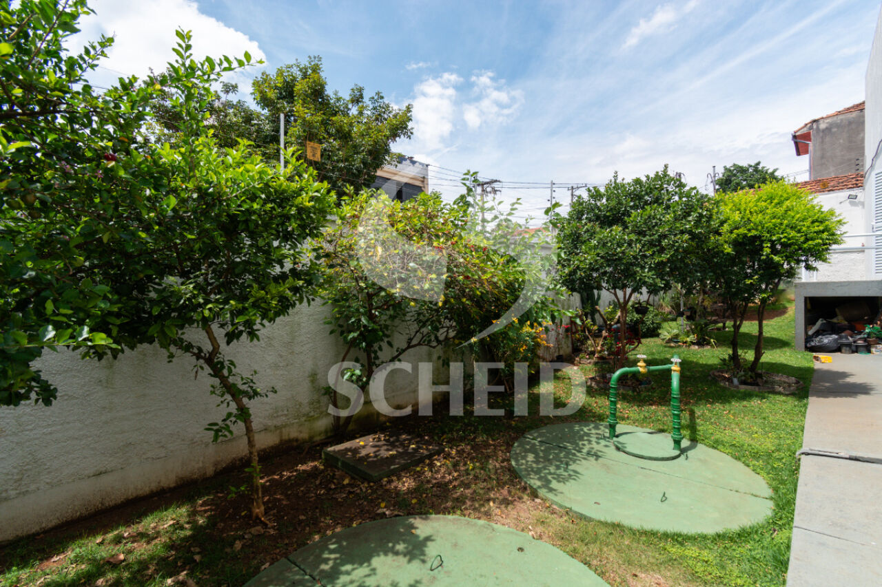 Foto 42