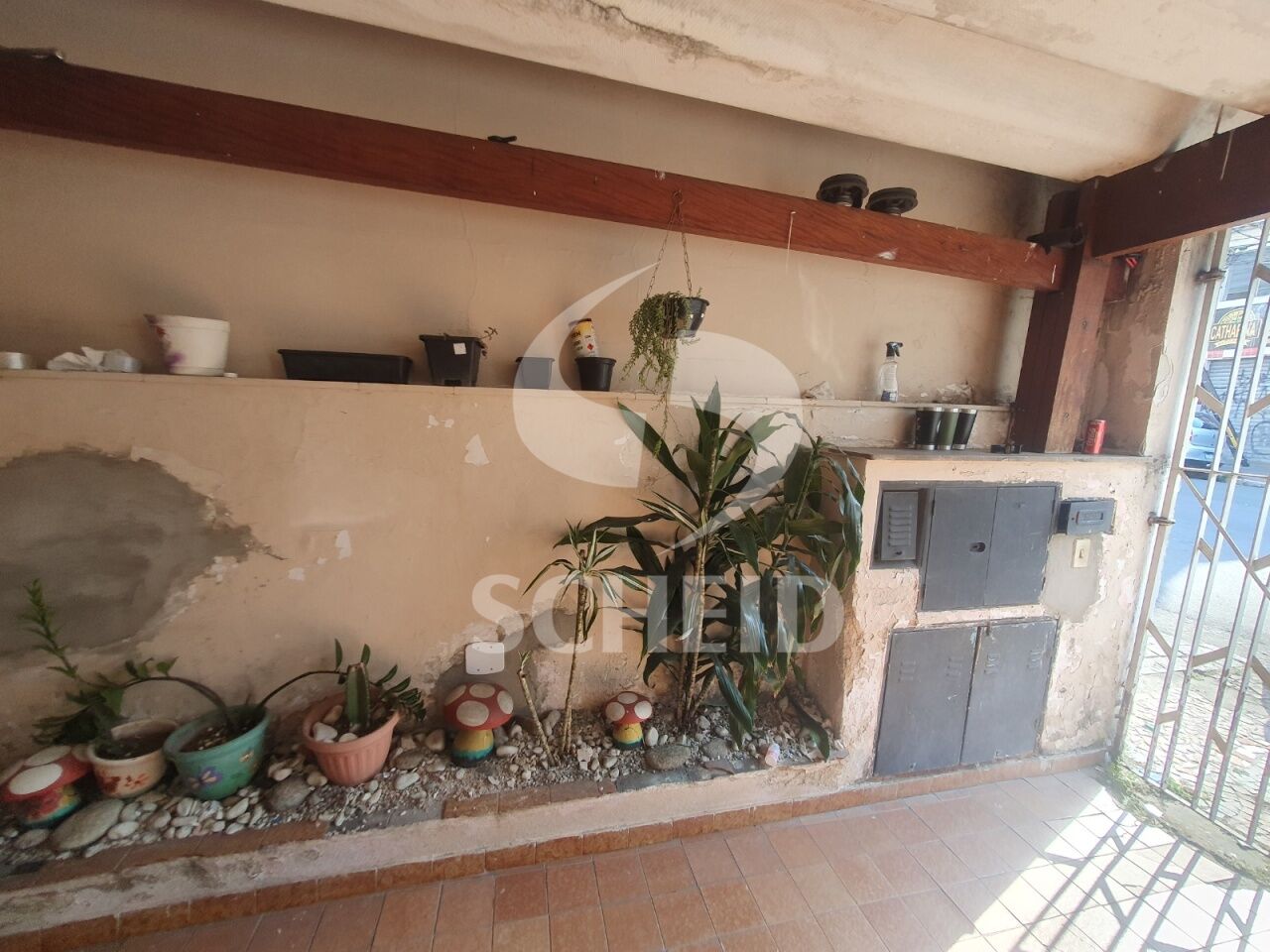 Foto 14
