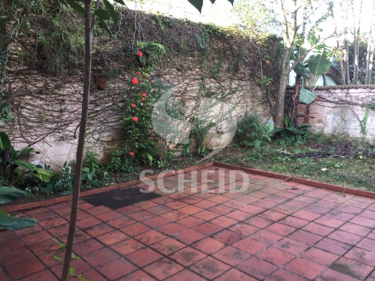 Foto 7